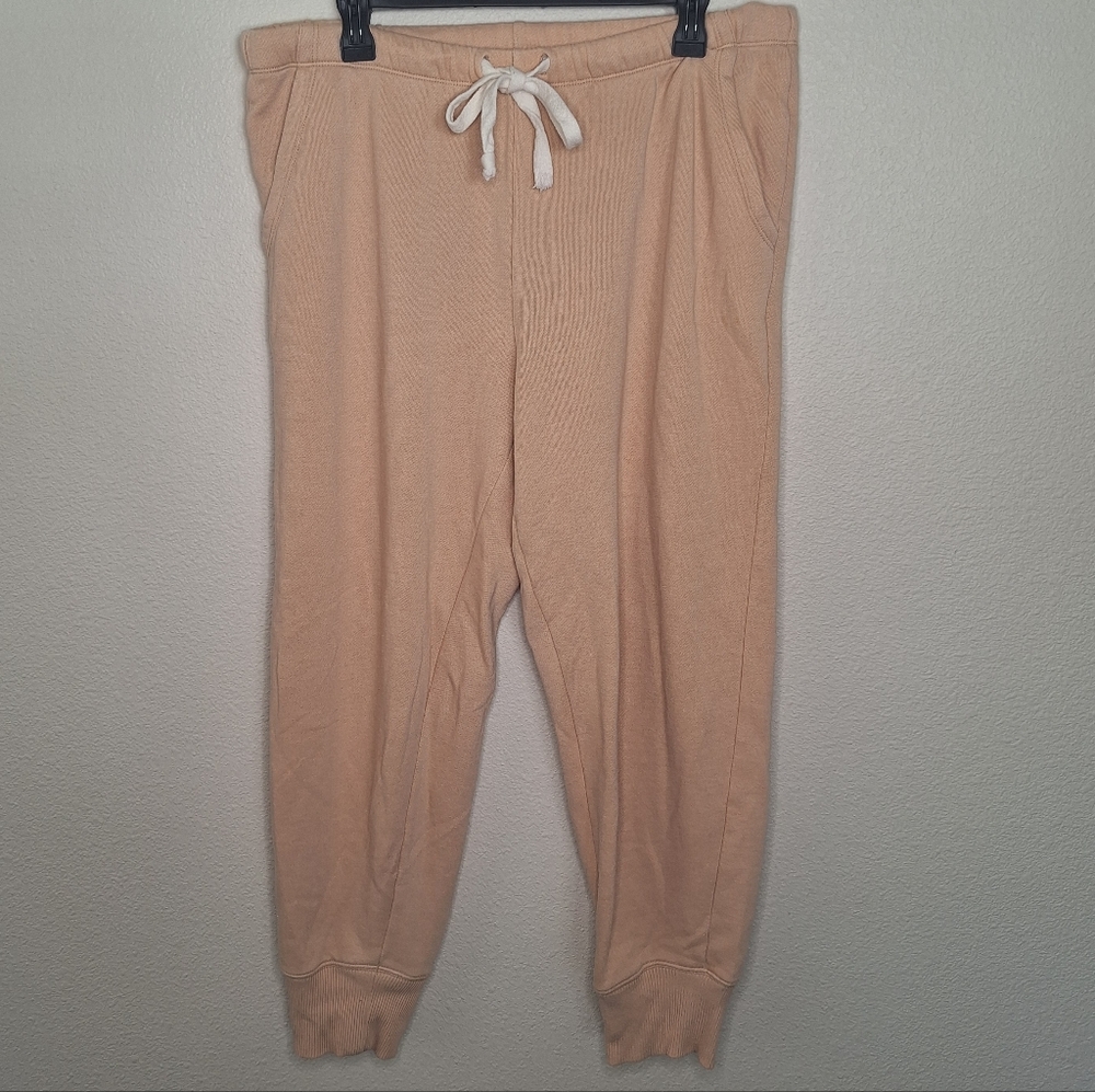 AERIE Peach colored Comfy Cozy Lounge Pants Size L